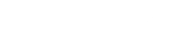 Wakeswitches Consoles